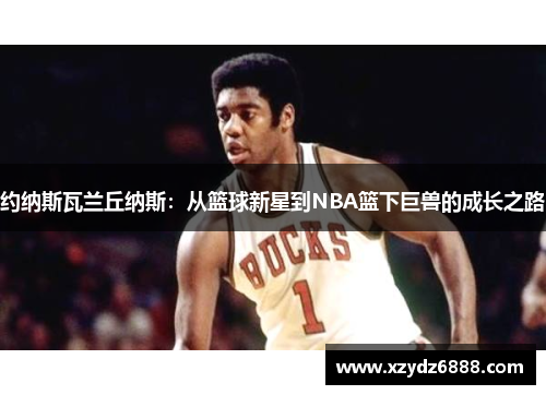 约纳斯瓦兰丘纳斯：从篮球新星到NBA篮下巨兽的成长之路