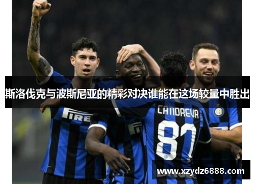 斯洛伐克与波斯尼亚的精彩对决谁能在这场较量中胜出